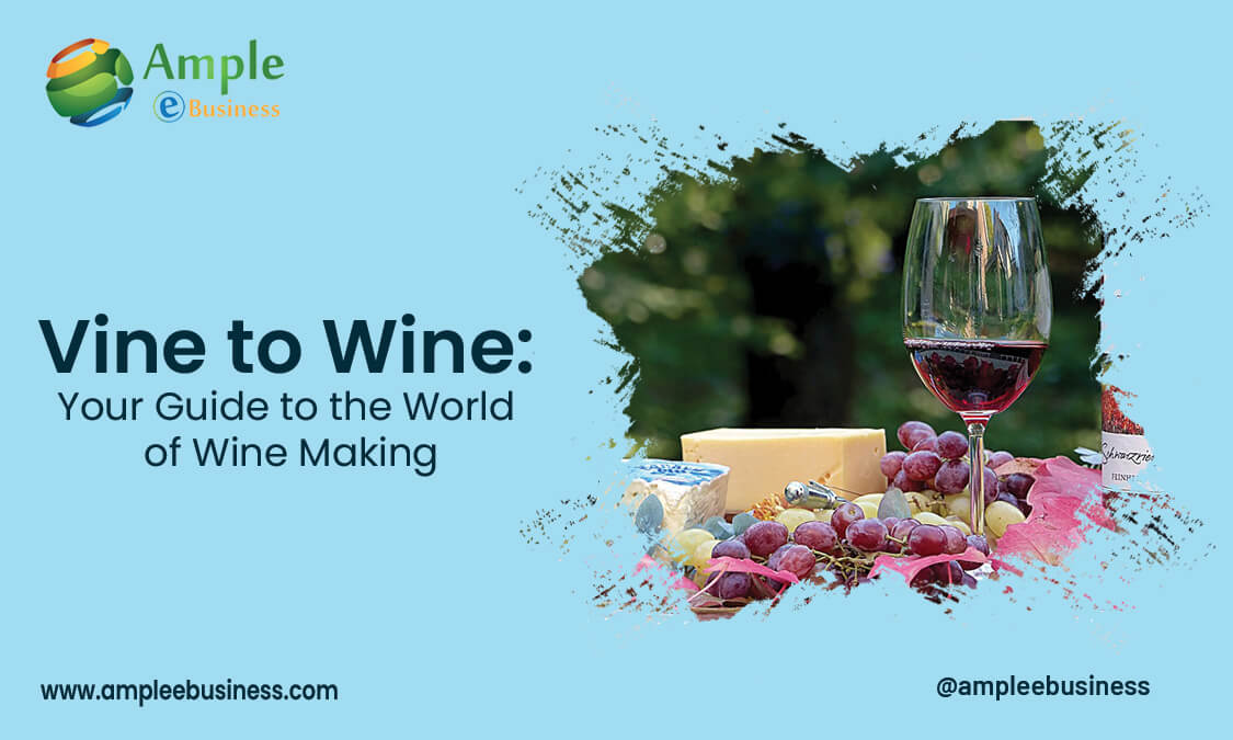 Vine to Wine – Your Guide to the World of Wine Making